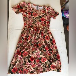 Lularoe Amelia size small